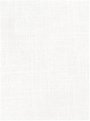 Punjab White Heritage Fabric 